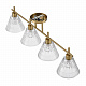Потолочная люстра Lumion Vivian 8188/4C
