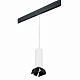 Трековый светильник Lightstar Rullo PRORP6496487