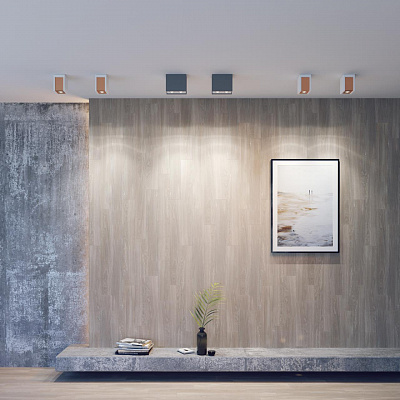 Потолочный светильник Novotech Legio 370499