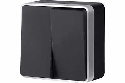 Выключатель двухклавишный черный с серебром Werkel Gallant W5020034 a051142