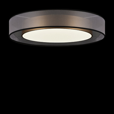 Потолочный светильник Freya Zoticus FR6005CL-L48G