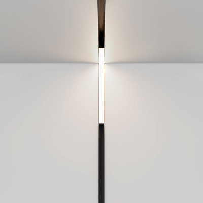 Трековый светильник Maytoni Basis Exility TR102-24W4K-B