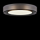 Потолочный светильник Freya Zoticus FR6005CL-L48G