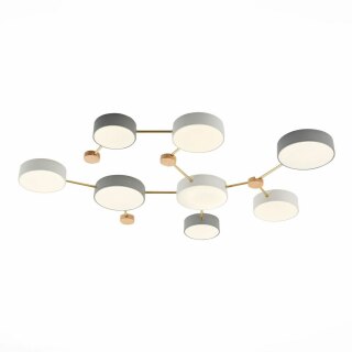 Потолочный светодиодный светильник Evoluce Dossena SLE600102-08