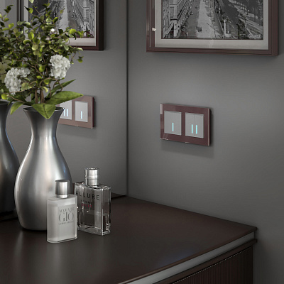 Сенсорный выключатель одноклавишный Werkel серебряные a057680