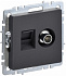 Розетка двойная TV+RJ45 IEK Brite кат.5E РТВ/РК12-БрГ графит BR-AK20-1-K53