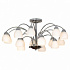 Потолочная люстра Lussole Apiro LSF-2403-15