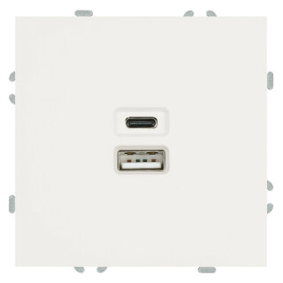 Розетка 2-местная USB + Type C (механизм), STEKKER Эмили, 250В, 20W, RST10-5115-01, белый фарфор, soft touch