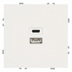 Розетка 2-местная USB + Type C (механизм), STEKKER Эмили, 250В, 20W, RST10-5115-01, белый фарфор, soft touch