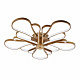 Потолочный светодиодный светильник F-Promo Bluten 2548-5U