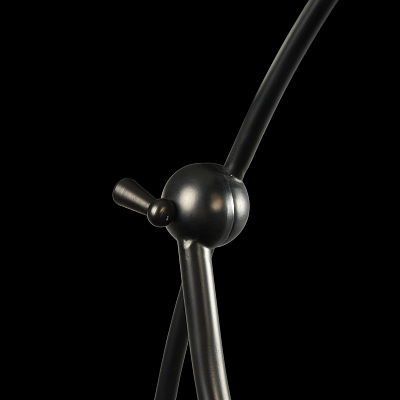 Настольная лампа Maytoni Senna H353-TL-01-W