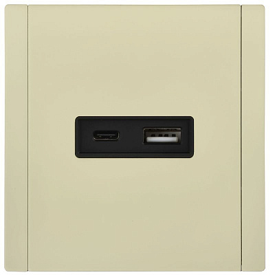 Розетка USB A+C 3,1А IEK FORTE&PIANO FP850M FP-U22-D31-M-K41 металл серый сланец