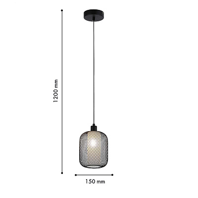 Подвесной светильник F-Promo Tokri 4602-1P