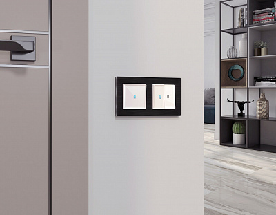 Комплект механизма 2-клавишного выключателя с подсветкой 10000K ALFA MA204020 Жемчуг QUANT