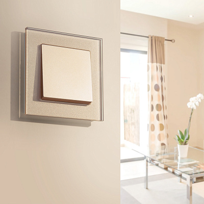 Выключатель одноклавишный Werkel W1110011 шампань a050869