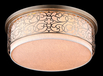 Потолочный светильник Maytoni Venera H260-05-N