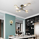 Потолочная люстра Odeon Light Denzel 4320/75CL