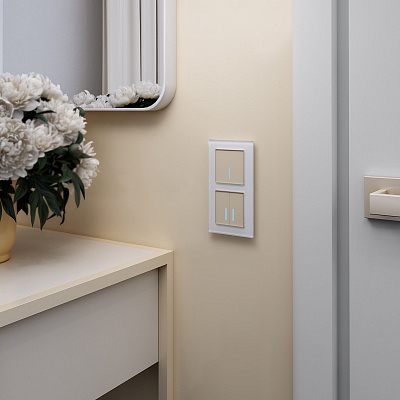 Сенсорный выключатель одноклавишный Werkel шампань a048328