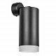 Бра Lightstar Rullo RB648780