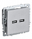 Розетка USB IEK Brite A+A 3,1А РЮ10-1-БрА алюминий BR-U21-D31-K47