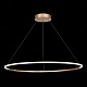 Люстра подвесная ST-Luce ST604 OUT ST604.243.46