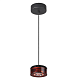 Подвесной светодиодный светильник Odeon Light Vivace 3818/10L