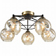 Потолочная люстра Vele Luce Furia VL1882L05