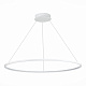 Люстра подвесная ST-Luce ST603 IN ST603.543.46