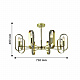 Потолочная люстра F-Promo Scintillans 2483-8P