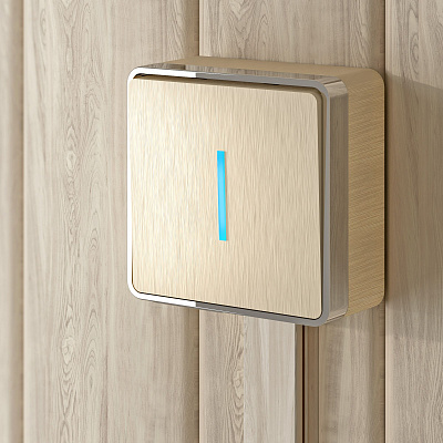 Выключатель одноклавишный с подсветкой Werkel Gallant шампань рифленый a051042