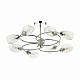 Люстра потолочная Lumion Romeo 4561/8C