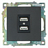 Розетка USB 2-местная (механизм), STEKKER Катрин GLS10-7115-05, 250B, 2,1А, черный