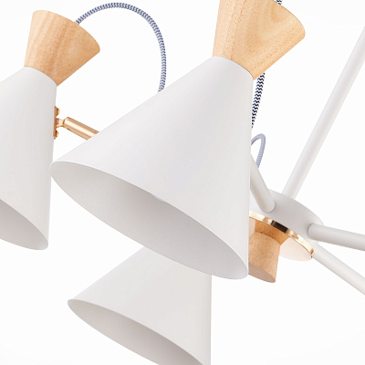 Люстра Evoluce Modica SLE125102-05