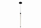 Подвесной светодиодный светильник Maytoni Ray P021PL-L10B