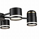 Люстра Lumion Virsava 8234/6C