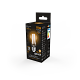 Лампа Gauss Filament А60 15W 1400lm 2700К Е27 LED 102902115 (20 шт)