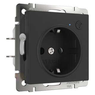 Умная Wi-Fi розетка с заземлением с защитными шторками матовый черный Werkel W1171608 a056422