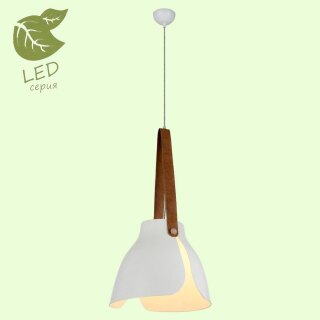 Подвесной светильник Lussole Loft Huntington GRLSP-9841