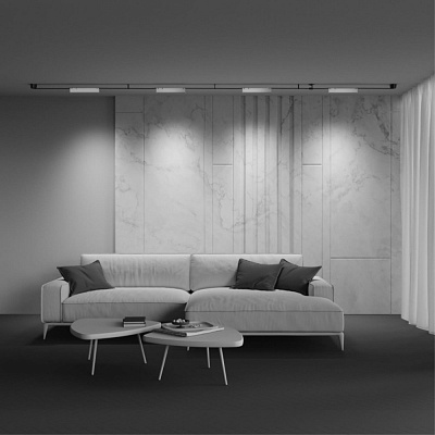 Трековый светодиодный светильник Maytoni Points TR128B-12W3K-M-W