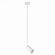 Светильник подвесной  ST Luce Sormano SL1206.503.01