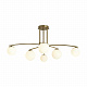 Люстра Freya Hanger FR5443CL-06BS
