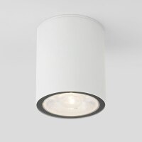 Уличный потолочный светильник Elektrostandard Light 35131/H белый LED a056230
