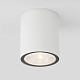 Уличный потолочный светильник Elektrostandard Light 35131/H белый LED a056230