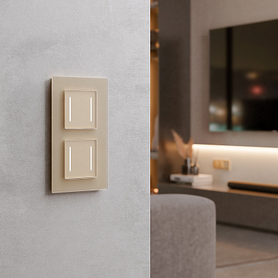 Сенсорный выключатель двухклавишный с Wi-Fi Werkel шампань a064146