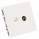 Розетка TV + компьютерная RJ-45 (механизм), STEKKER Эмили, RST00-5106-01, белый фарфор, soft touch