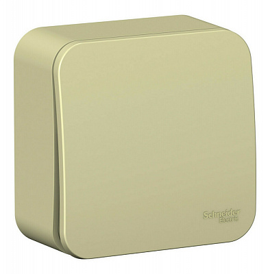 Выключатель одноклавишный SE Blanca с самовозвратом с изолированой пластиной бежевый BLNCA101017