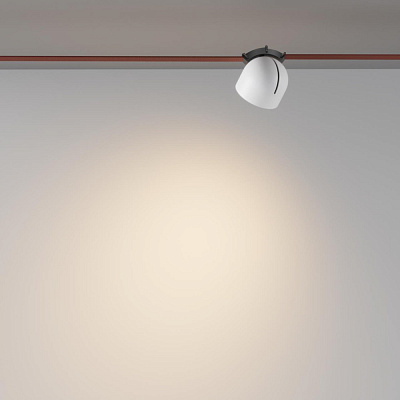 Трековый светодиодный светильник Maytoni Cup TR124B-12W3K-W