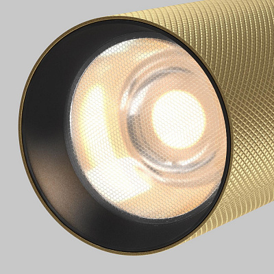 Магнитный трековый светильник Maytoni Artisan TR097-2-12W3K-M-BMG