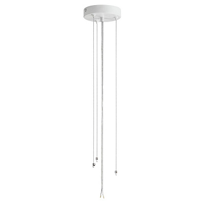 Потолочный светильник Lumion Animaisa 8002/6C