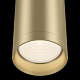 Потолочный светильник Maytoni Alfa C010CL-01MG